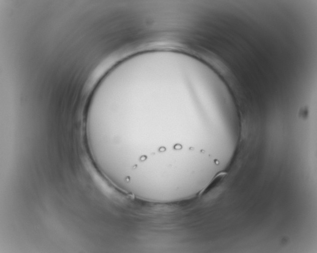 X0000112891430200909181902