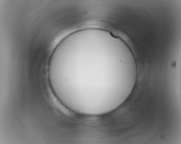 X0000112891431200909181902