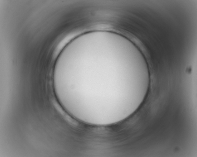 X0000112891432200909181902