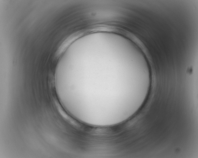 X0000112891433200909181902