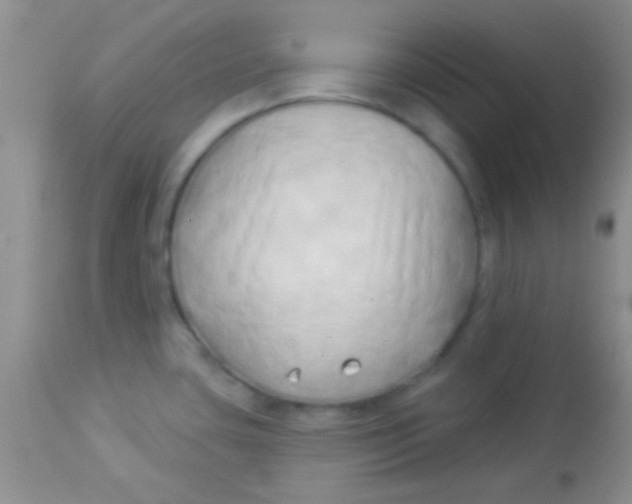 X0000112891435200909181902
