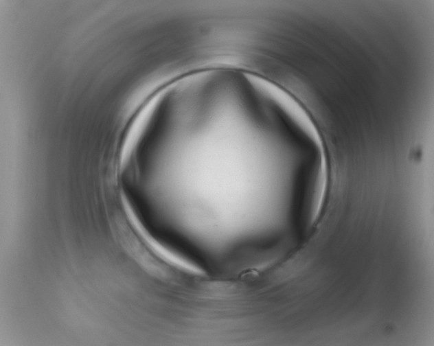 X0000112891436200909181902