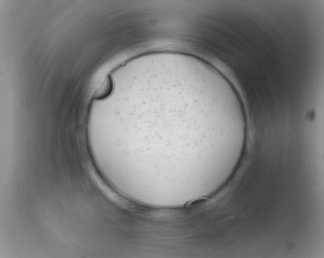 X0000112891437200909181902