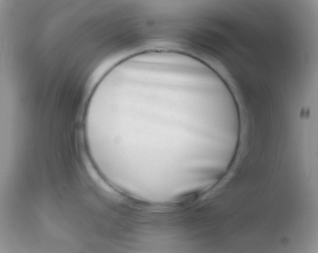 X0000112891440200909181902