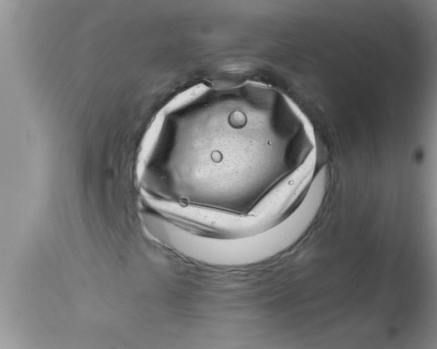 X0000112891441200909181901