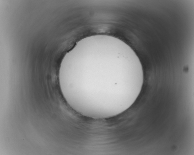 X0000112891442200909181901