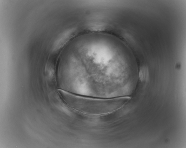 X0000112891444200909181901