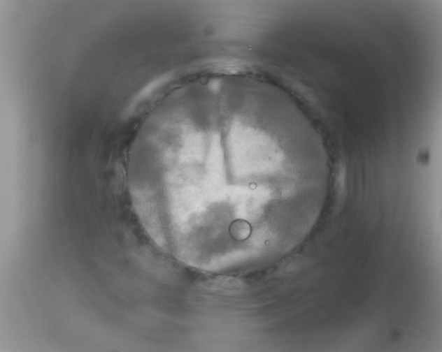 X0000112891446200909181901