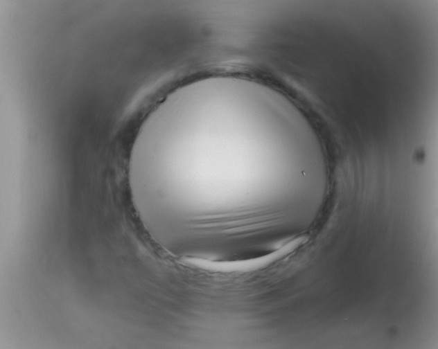 X0000112891447200909181901