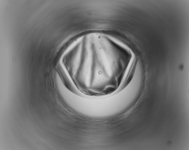 X0000112891449200909181901
