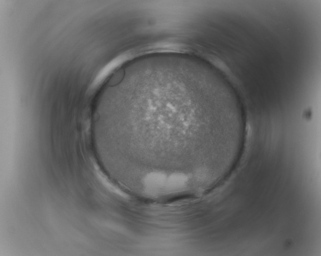 X0000112891450200909181901
