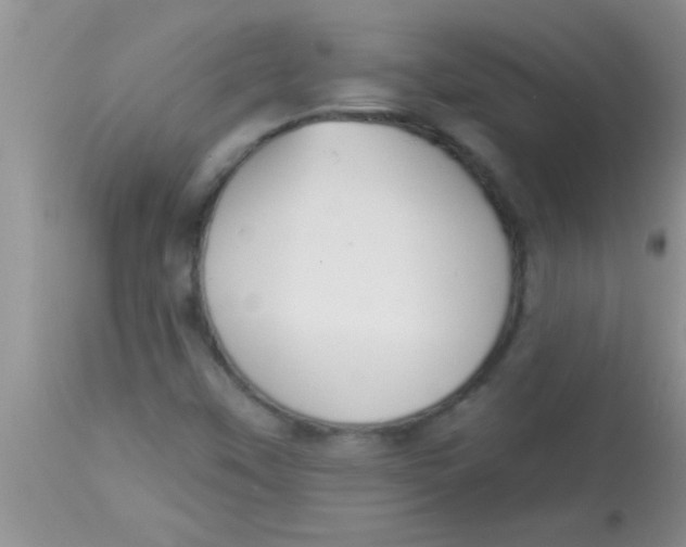 X0000112891451200909181901