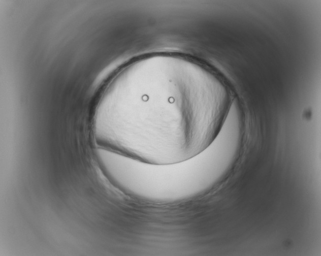 X0000112891452200909181901