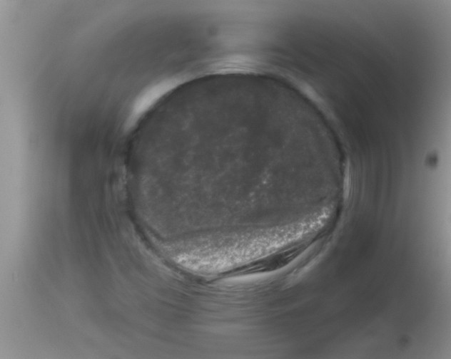 X0000112891453200909181901