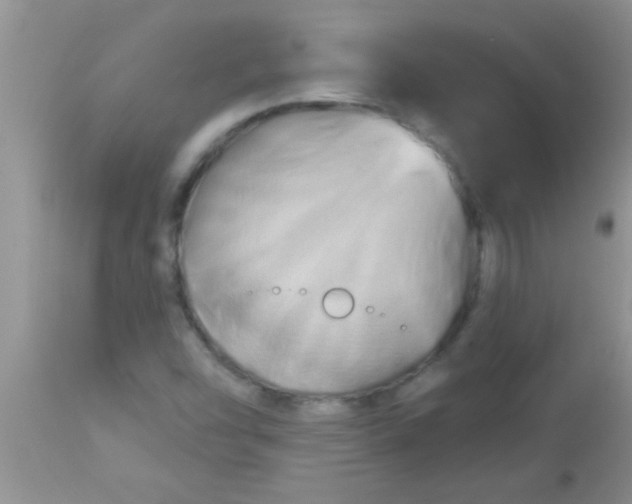 X0000112891454200909181901