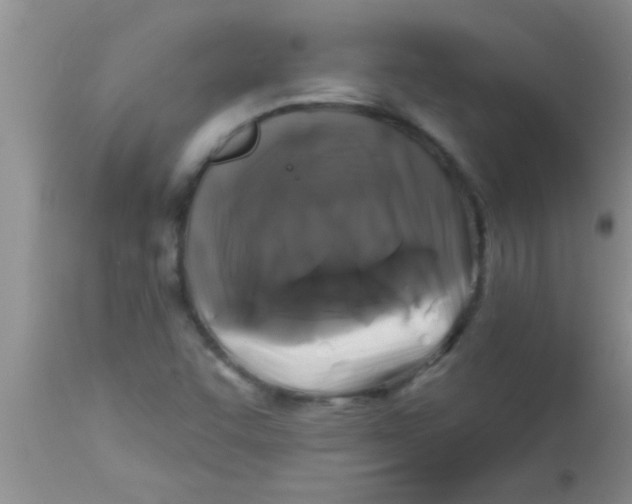 X0000112891455200909181901