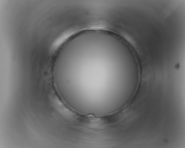 X0000112891456200909181901