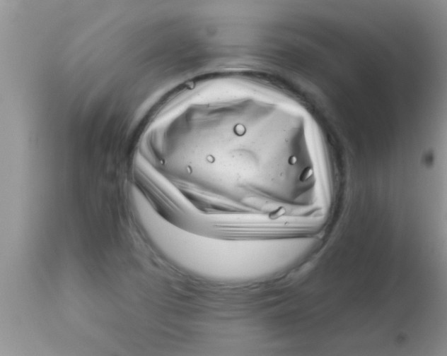 X0000112891457200909181901