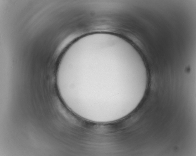 X0000112891458200909181901