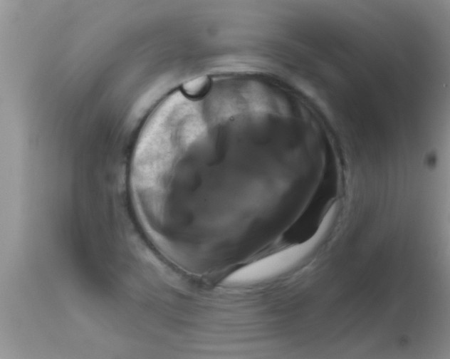 X0000112891459200909181901