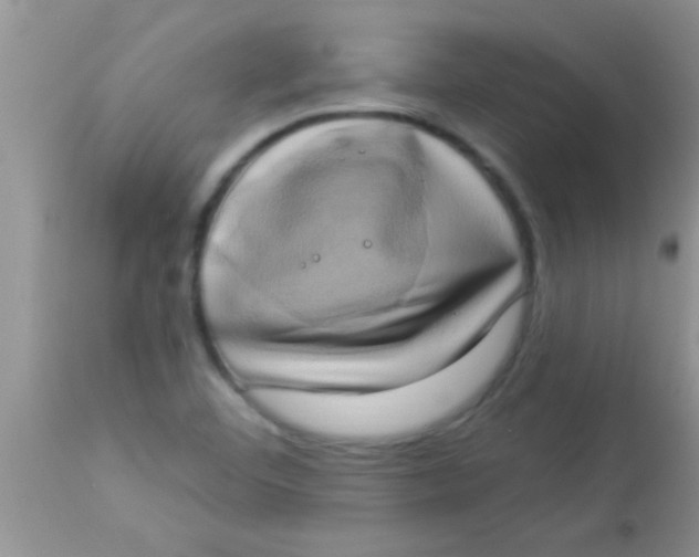 X0000112891460200909181901