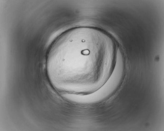 X0000112891461200909181901