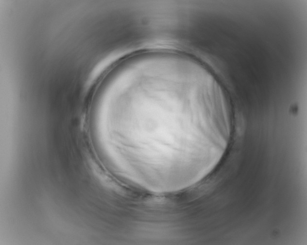 X0000112891462200909181901