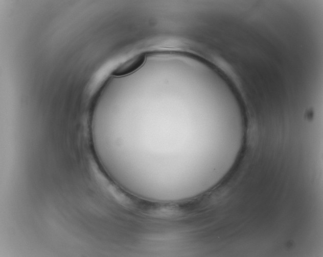 X0000112891464200909181901