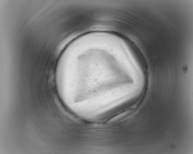 X0000112891465200909181901
