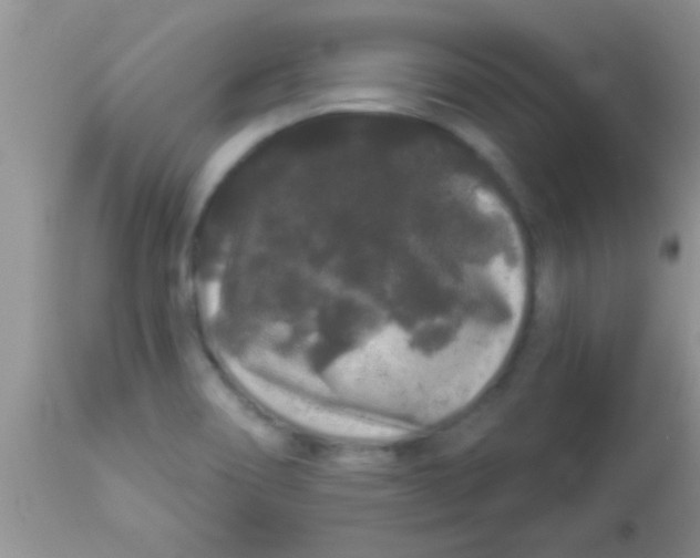 X0000112891466200909181901