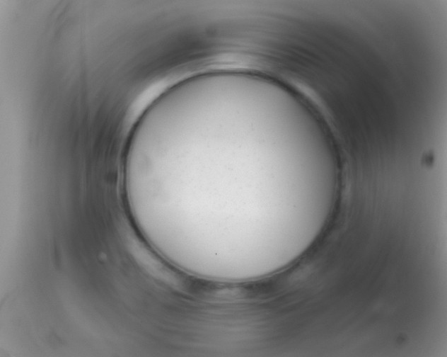 X0000112891467200909181901