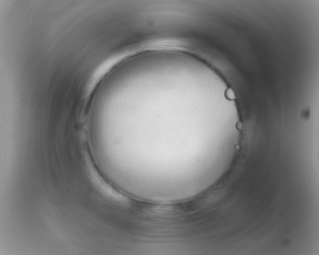 X0000112891470200909181901