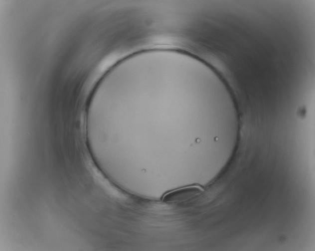 X0000112891472200909181901