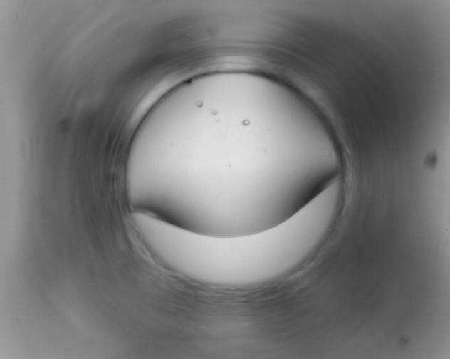 X0000112891473200909181901
