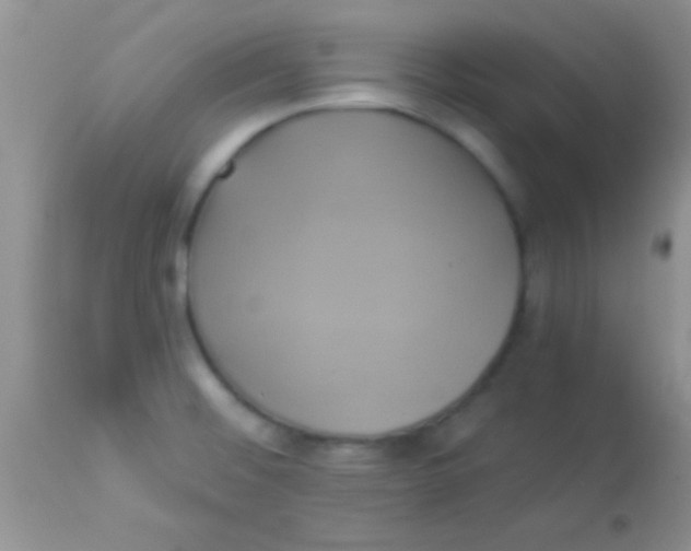 X0000112891476200909181901