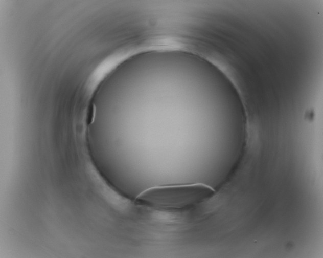 X0000112891477200909181901