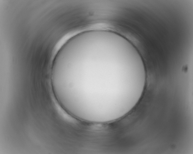X0000112891478200909181901