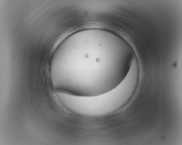 X0000112891481200909181900