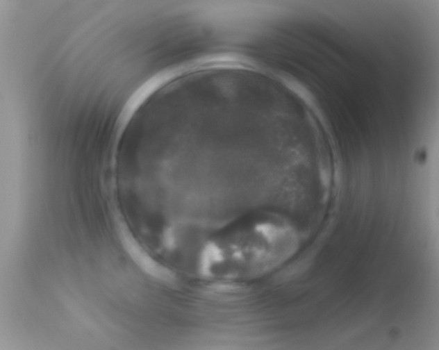 X0000112891482200909181900