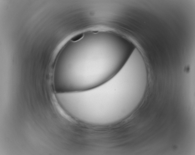 X0000112891484200909181900