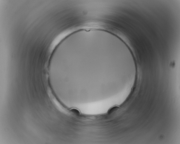 X0000112891485200909181900