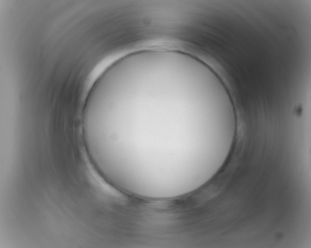 X0000112891486200909181900