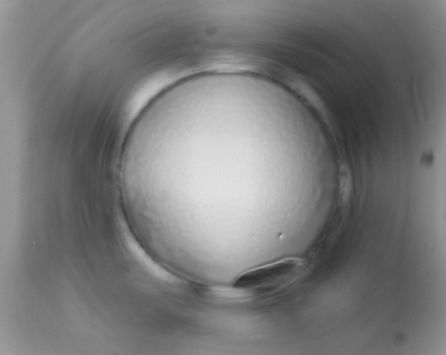 X0000112891487200909181900