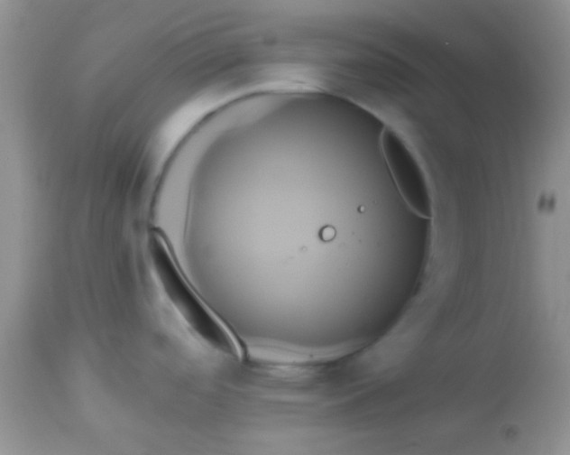 X0000112891488200909181900