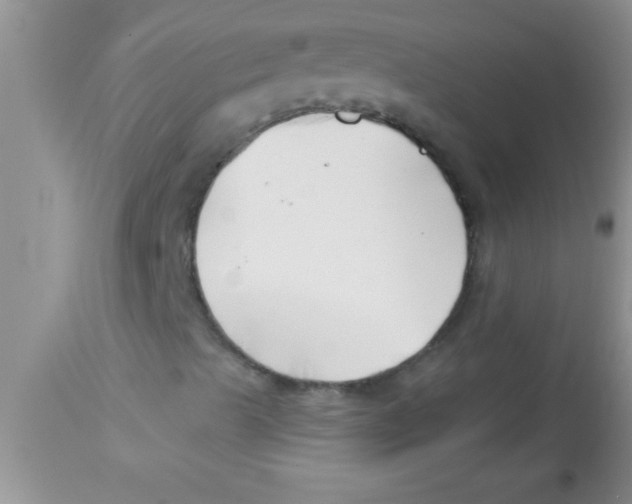 X0000112891489200909181900