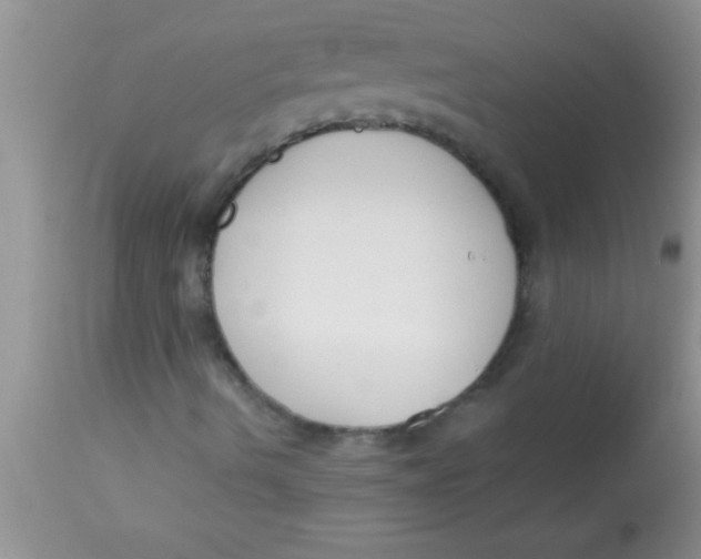 X0000112891490200909181900