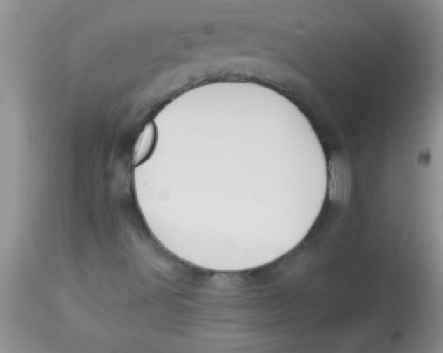 X0000112891491200909181900