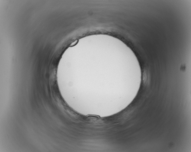 X0000112891492200909181900