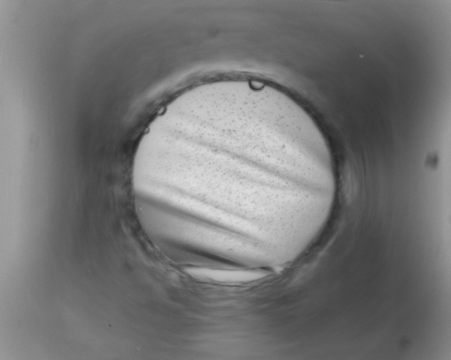 X0000112891494200909181900
