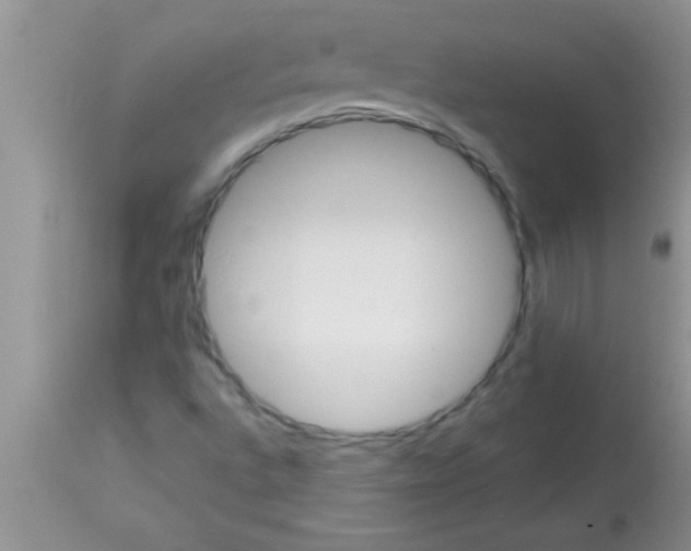 X0000112891496200909181900
